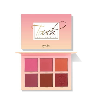 Makeup 6 Color Blush Rouge